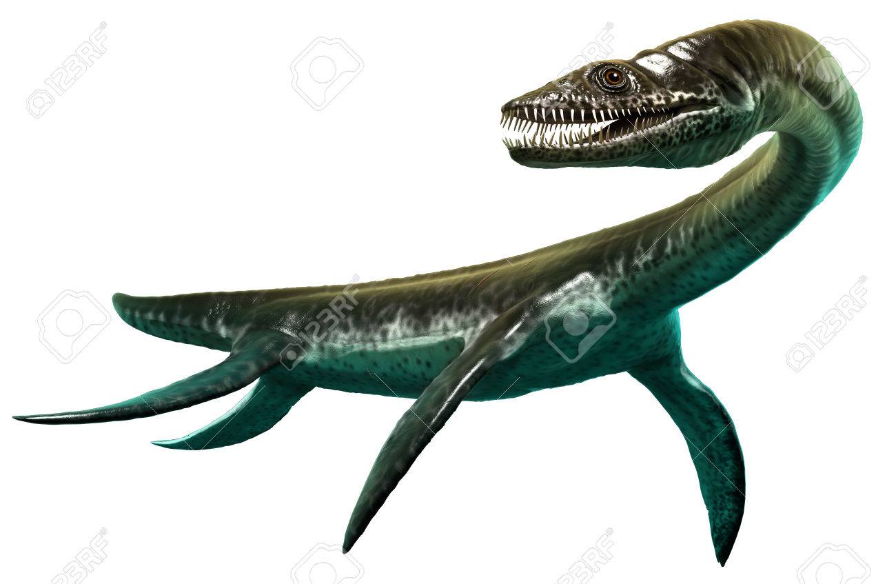 Plesiosaurus | Zoo Wiki | Fandom