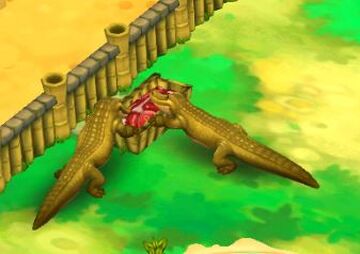 crocodile animal