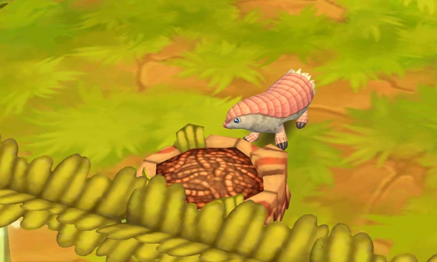 Pink Fairy Armadillos