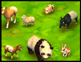 Z2grass.png