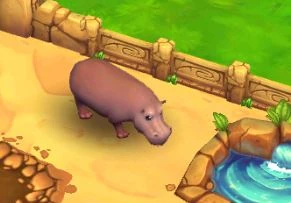 Hippopotamus | Zoo 2: Animal Park Wiki | Fandom