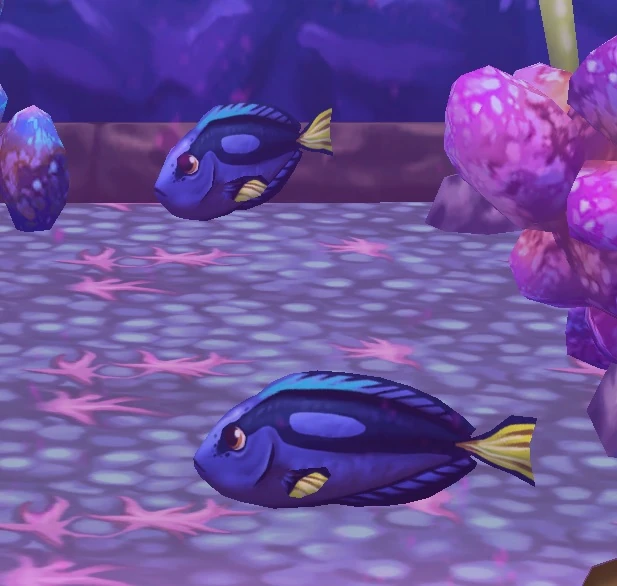 Royal Blue Tang Zoo 2 Animal Park Wiki Fandom