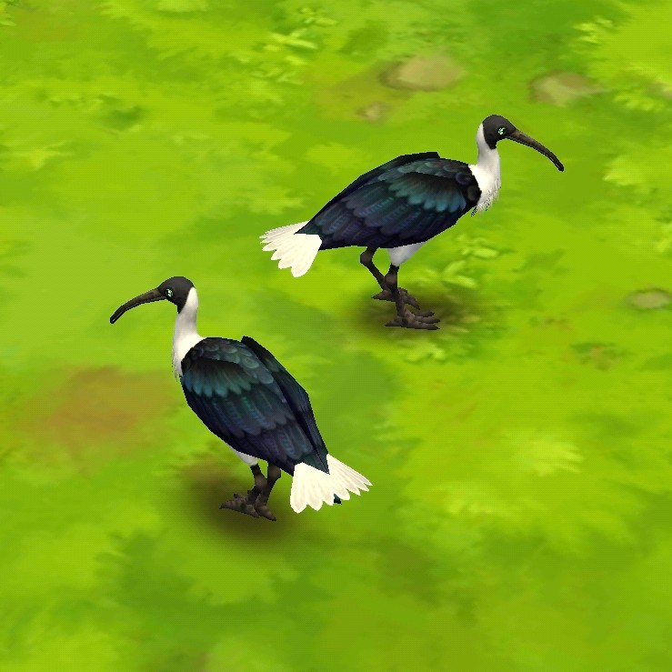 その他 Zoo Europa Starting a new European city zoo! : r/PlanetZoo