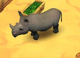 White Rhinoceros | Zoo 2: Animal Park Wiki | Fandom