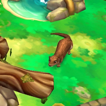Giant Otter Shrew | Zoo 2: Animal Park Wiki | Fandom