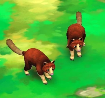 Matschie's Tree Kangaroo | Zoo 2: Animal Park Wiki | Fandom
