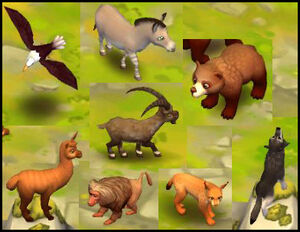 Mountain animals.jpg