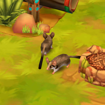 Asian Garden Dormouse | Zoo 2: Animal Park Wiki | Fandom