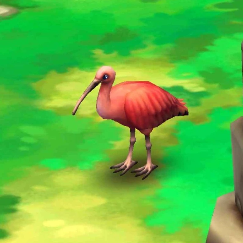 Scarlet Ibis | Zoo 2: Animal Park Wiki | Fandom
