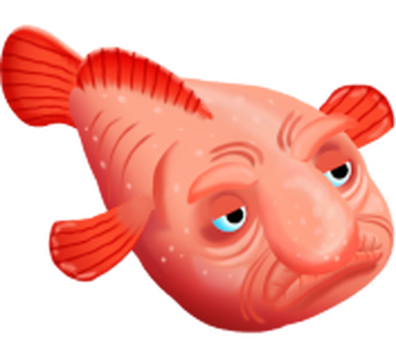 Blobfish, Blob Wiki