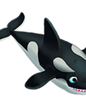 orca zoocraft wiki fandom orca zoocraft wiki fandom