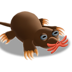 Star Nosed Mole Zoocraft Wiki Fandom Star Nosed Mole Zoocraft Wiki Fandom