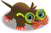 Star Nosed Mole Zoocraft Wiki Fandom