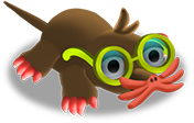 Star Nosed Mole Zoocraft Wiki Fandom Star Nosed Mole Zoocraft Wiki Fandom