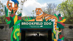 Brookfield Zoo - ZooChat