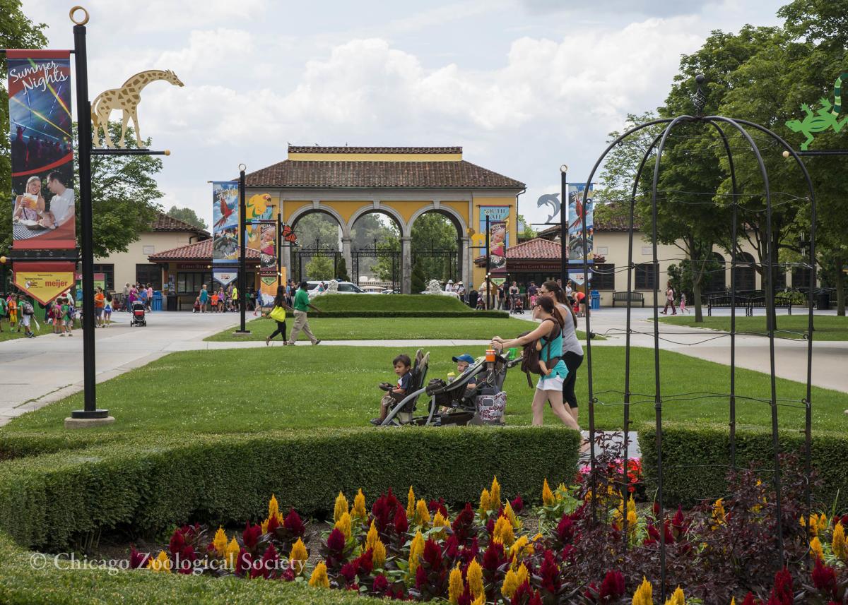 Brookfield Zoo - ZooChat