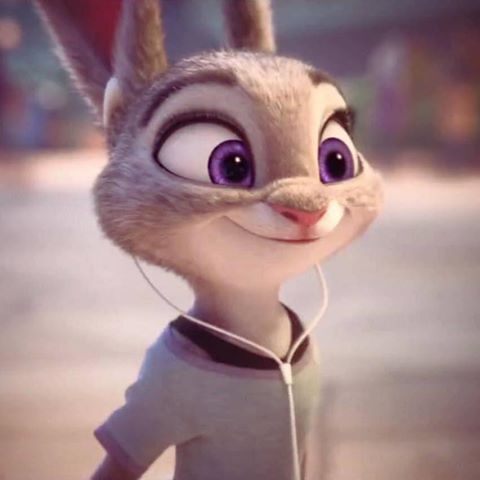 zootopia 2 release date the bunny being pregnant｜TikTok Search