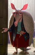 Dharma Armadillo