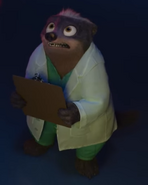 Dr. Honey Badger infobox