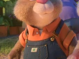 Stu Hopps