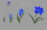Early designs for the "Blue Flower"