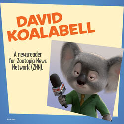 David Koalabell, Zootopia Wiki