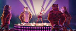 TigersDancing