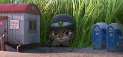 Judy hiding in grass