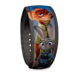 MagicBand1