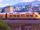 Zootopia Express