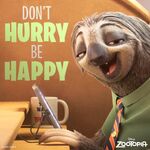 Don't Hurry Be Happy