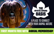 An advertisement for Mystic Spring Oasis