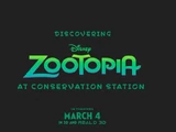 Discovering Zootopia at Conservation Station