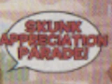 Skunk Appreciation Parade
