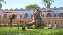 Many fans have written of a Mystic Springs Oasis, but the correct name of  the club where mammals let it all hang out is Mystic Spring Oasis—no  plural : r/zootopia