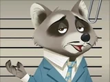 Phil (raccoon)