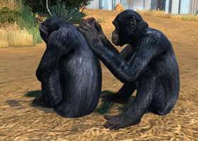 User blog:Superjakob/Animal List from Zoo Tycoon 3