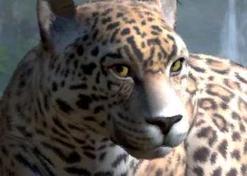 Zoo Tycoon: Ultimate Animal Collection, Zoo Tycoon Wiki