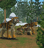 ZT1 - Siberian Tiger.png