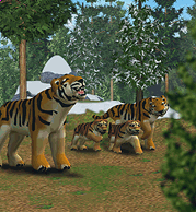 Zoo Tycoon players meet first Community Challenge supporting Sumatran Tiger  Survival Program