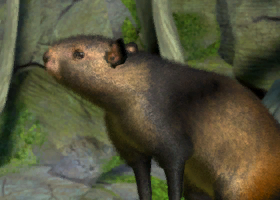 zoo tycoon ultimate animal collection zoo tycoon ultimate animal collection