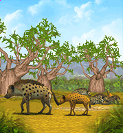 Spotted Hyena | Zoo Tycoon Wiki | Fandom