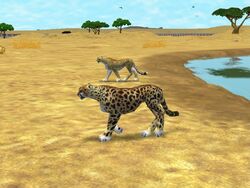 Zoo Tycoon 2 Ultimate Collection Male Animals by ReynaldoOktaviano