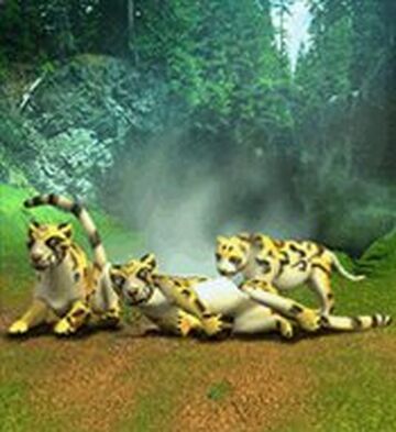シム・シメール、【THE LITTLE CLOUDED LEOPARD】 ?media_id=3204052915302301265