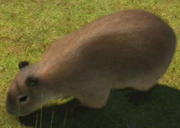 Zoo Tycoon Screens Take Us Top-Down and Close-Up