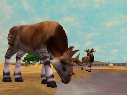 Mod release: Sivatherium remake : r/ZooTycoon