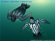 This artwork features one of the marine mania animals, Leatherback Sea Turtle