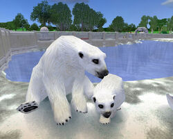 Zoo Tycoon 3: Polar Bear