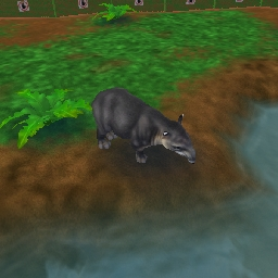 Zoo Tycoon 2 Deserves a Complete Edition