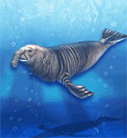 Elephant Seal | Zoo Tycoon Wiki | Fandom